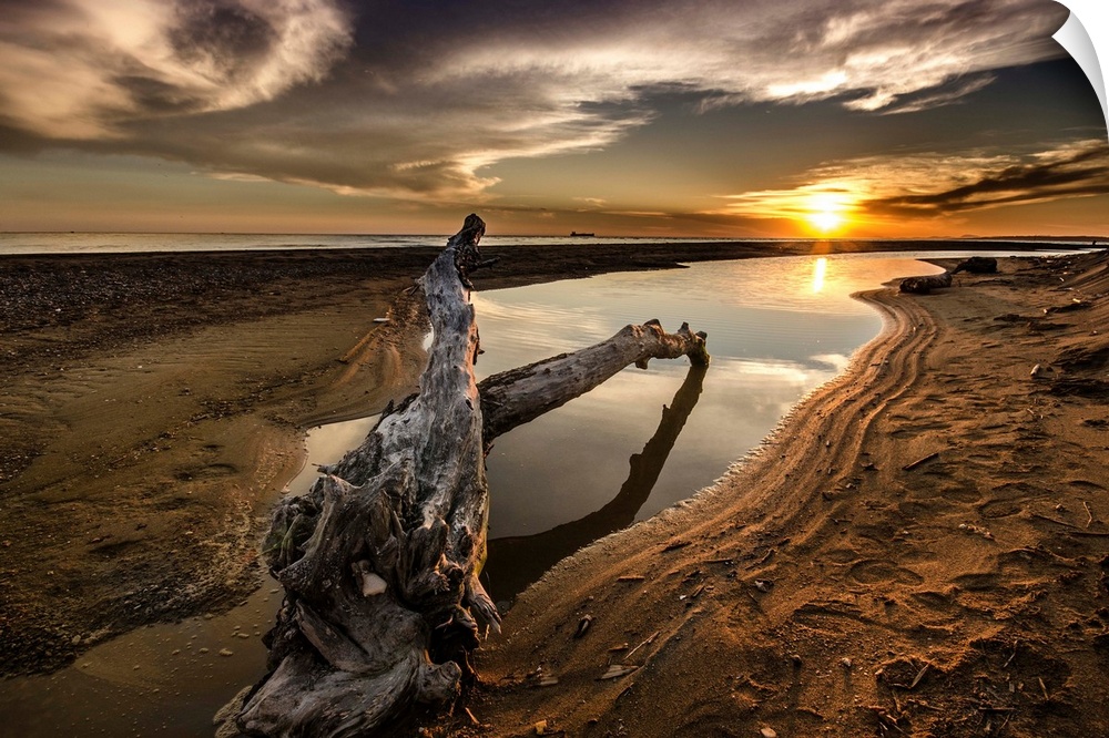 Piece of driftwood laying on the shore at sunset, Greece.