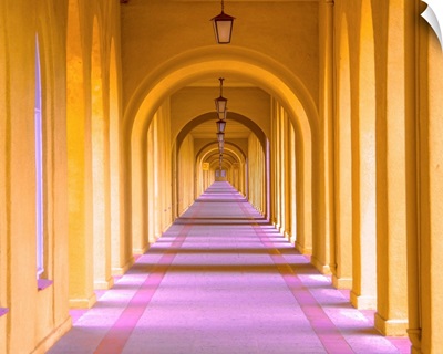 The Endless Corridor