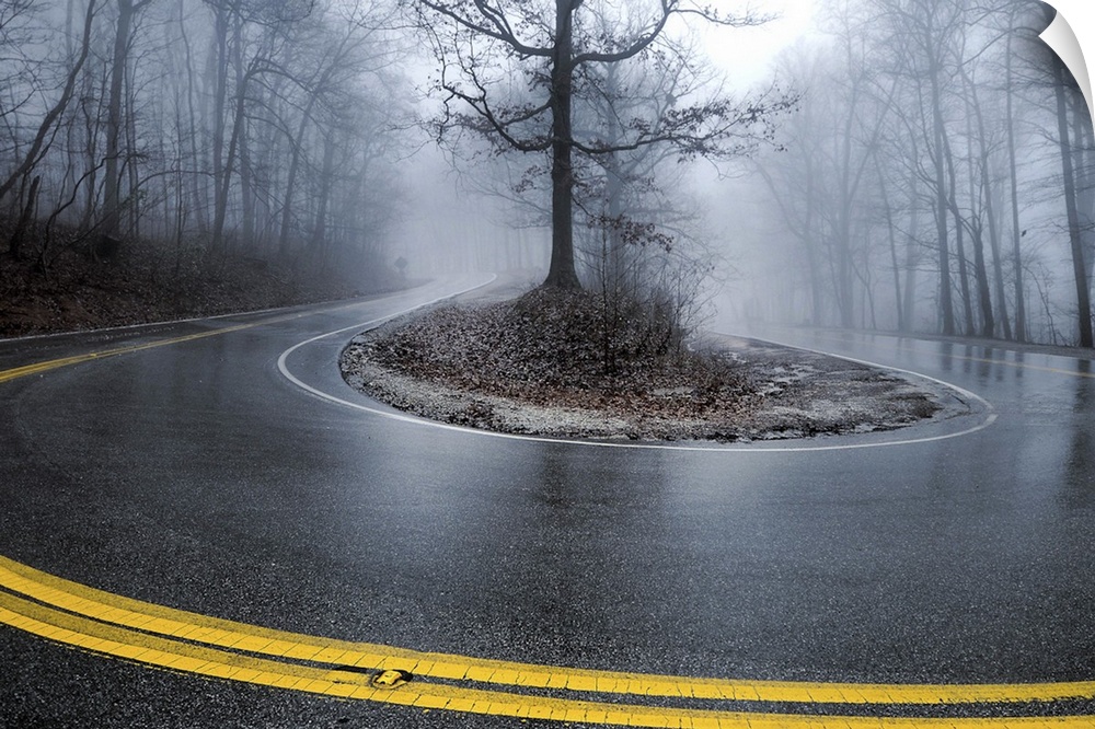 A great hairpin turn on Monte Sano Mountain with a great foggy background.