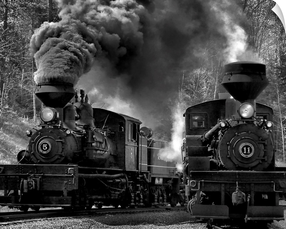 Twin locomotives on the railroad tracks.