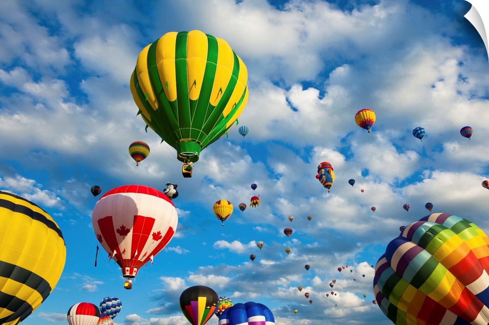 Vibrant hot air balloons in flight.