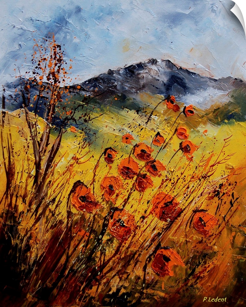A vertical country landscape of orange wildflowers in a field with mountains in the background.