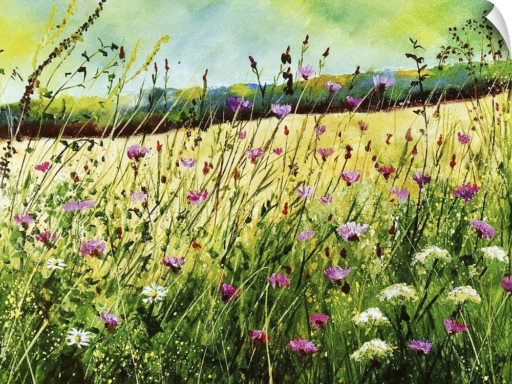 A horizontal abstract landscape of a field of wild flowers in vibrant colors.