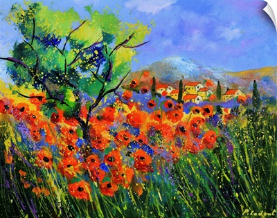 Poppies In Provence