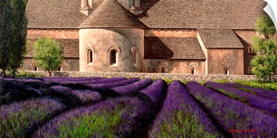 Abbey Lavender