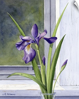 Blue flag - wild iris
