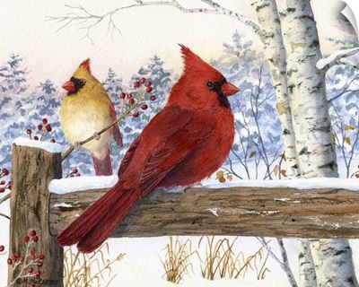Cardinal pair with birch