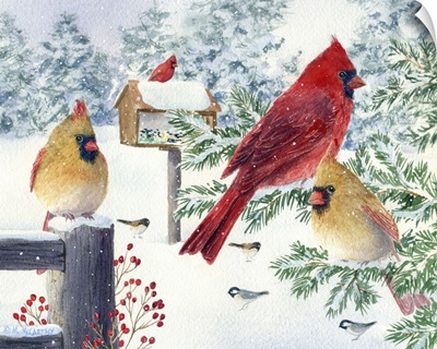Cardinals in Snow Flurry