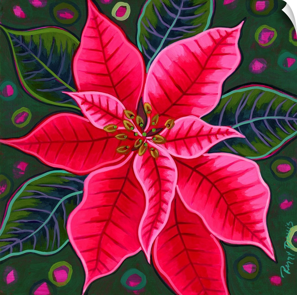 Pink Poinsettia 2