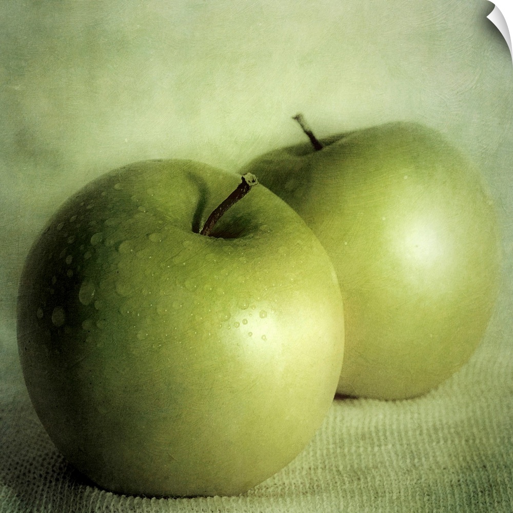 Square, large wall art of two green apples sitting on a cloth, against a lighter green background.