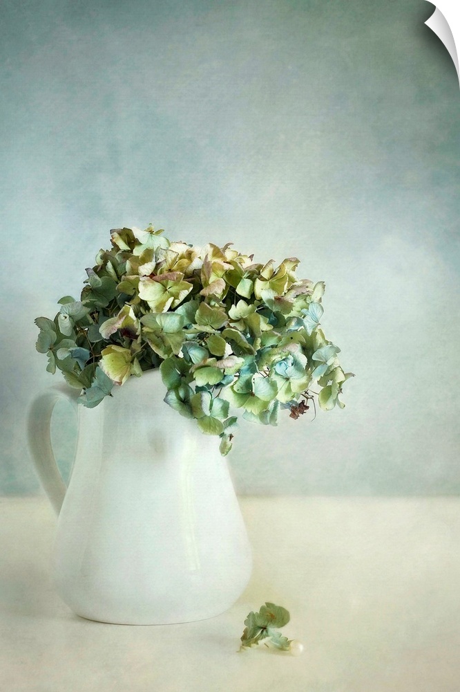 Hydrangea flowers in a white mug