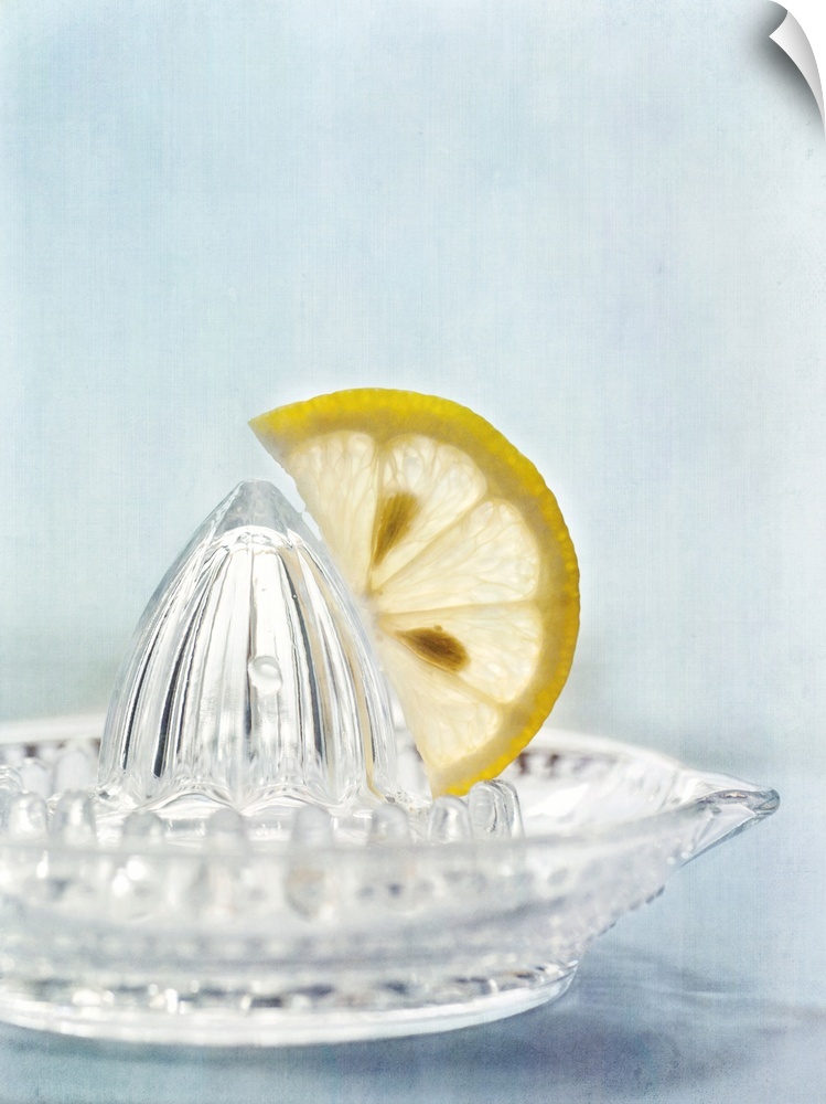 Simple, clean, still life with a slice of a lemon on a squeezer