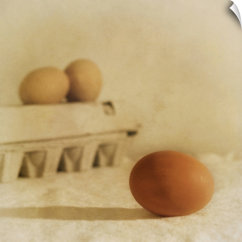 Three eggs, one in the foreground, taken with a shallow depth of field