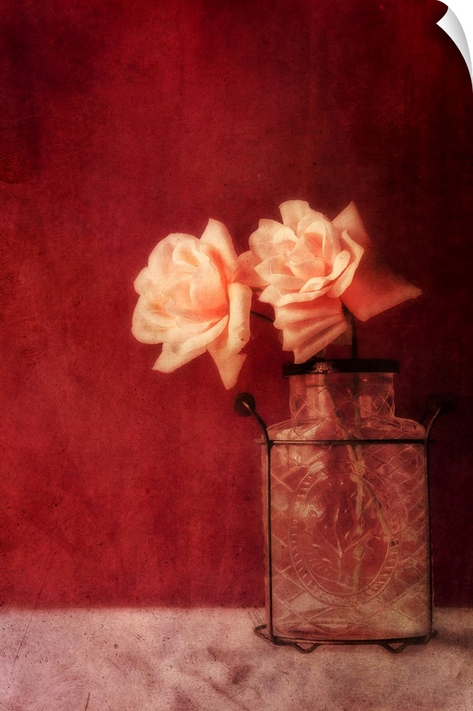 Still life with roses and an old vase against a rich dark red wall, natural light from the window.