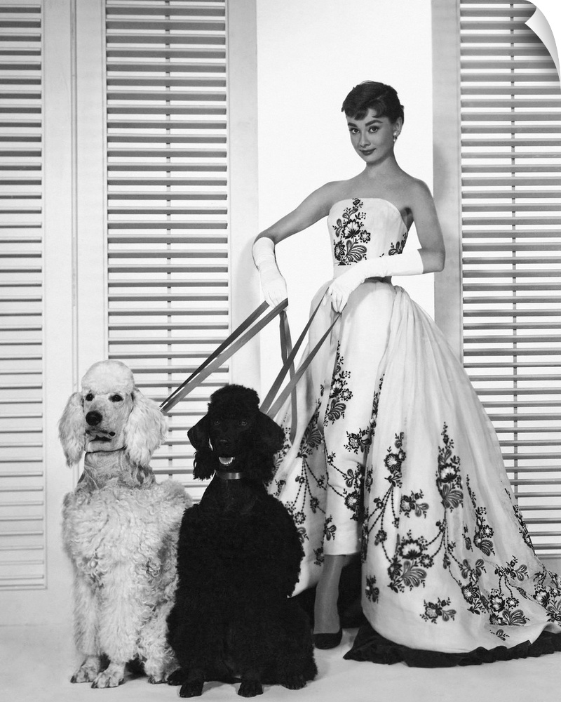 Wall art of Audrey Hepburn holding the leashes of two dogs.