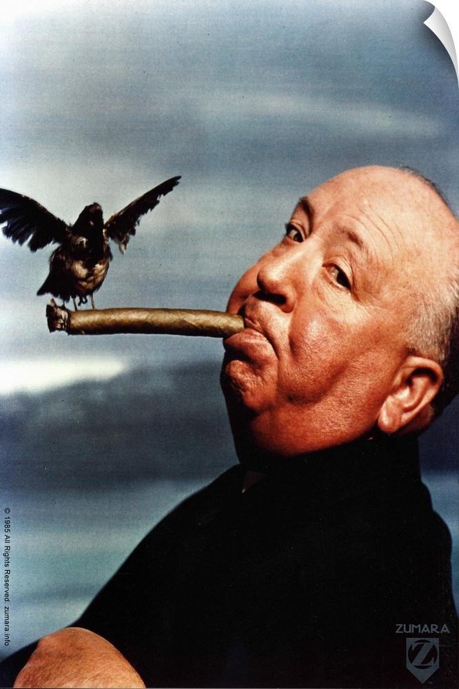 Hitchcock Crow Cigar