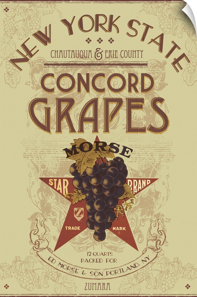 NY Concord Grapes