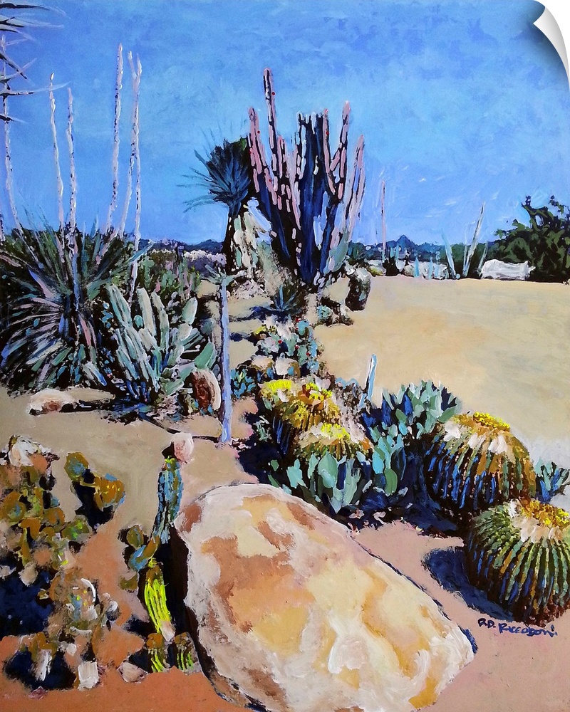 Cactus at the Desert Garden in Balboa Park San Diego, California, painting by RD Riccoboni. Cactus specimens in the histor...