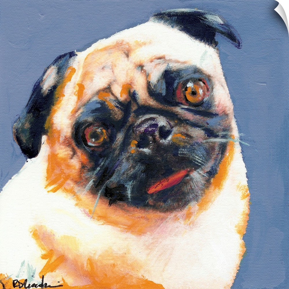Square painting of a Pug on a blue background.