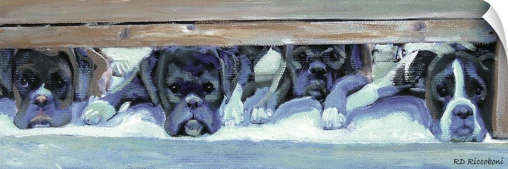 Panoramic painting in cool tones of four boxers laying underneath a bed waiting to be called out.