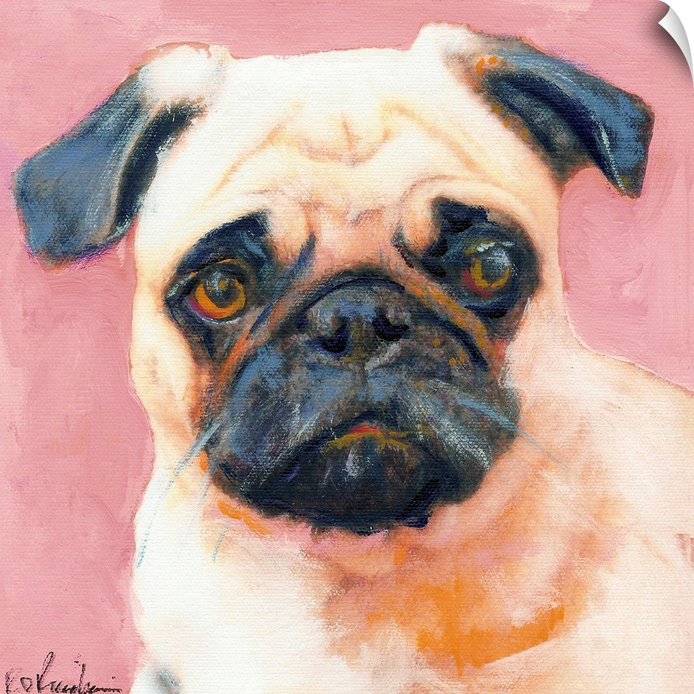 Square painting of a Pug puppy on a pink background.