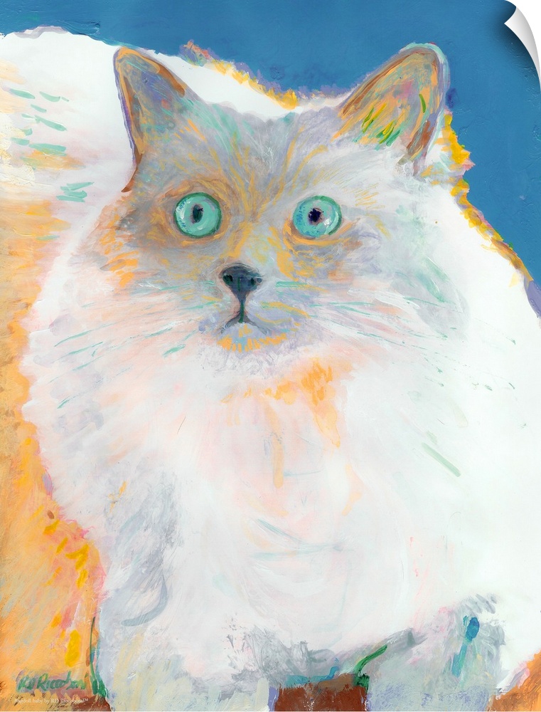 Ragdoll Baby painting by RD Riccoboni.  Portrait of Sherman.  Known for its easygoing and mellow nature the Ragdoll cat ha...