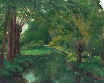 A Brook in a Clearing