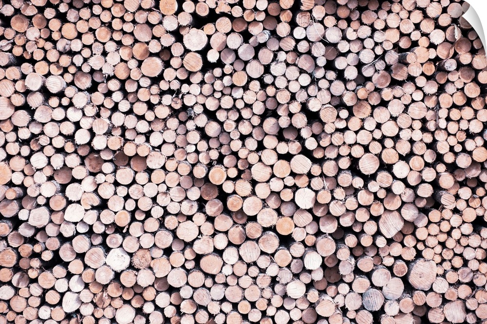 Aerial view of stacked logs in Banff National Park, Alberta, Canada.