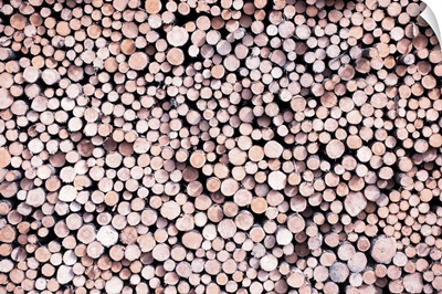 Aerial View Of Stacked Logs, Banff National Park, Alberta, Canada