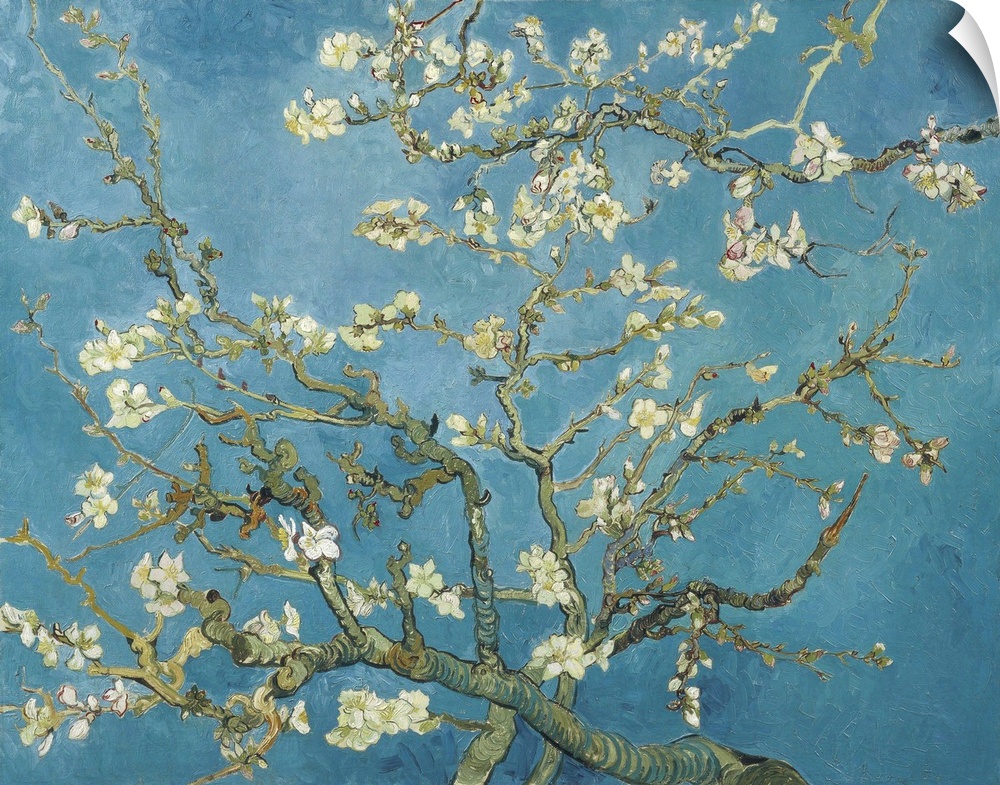 Vincent van Gogh's Almond blossom (1890) famous painting.