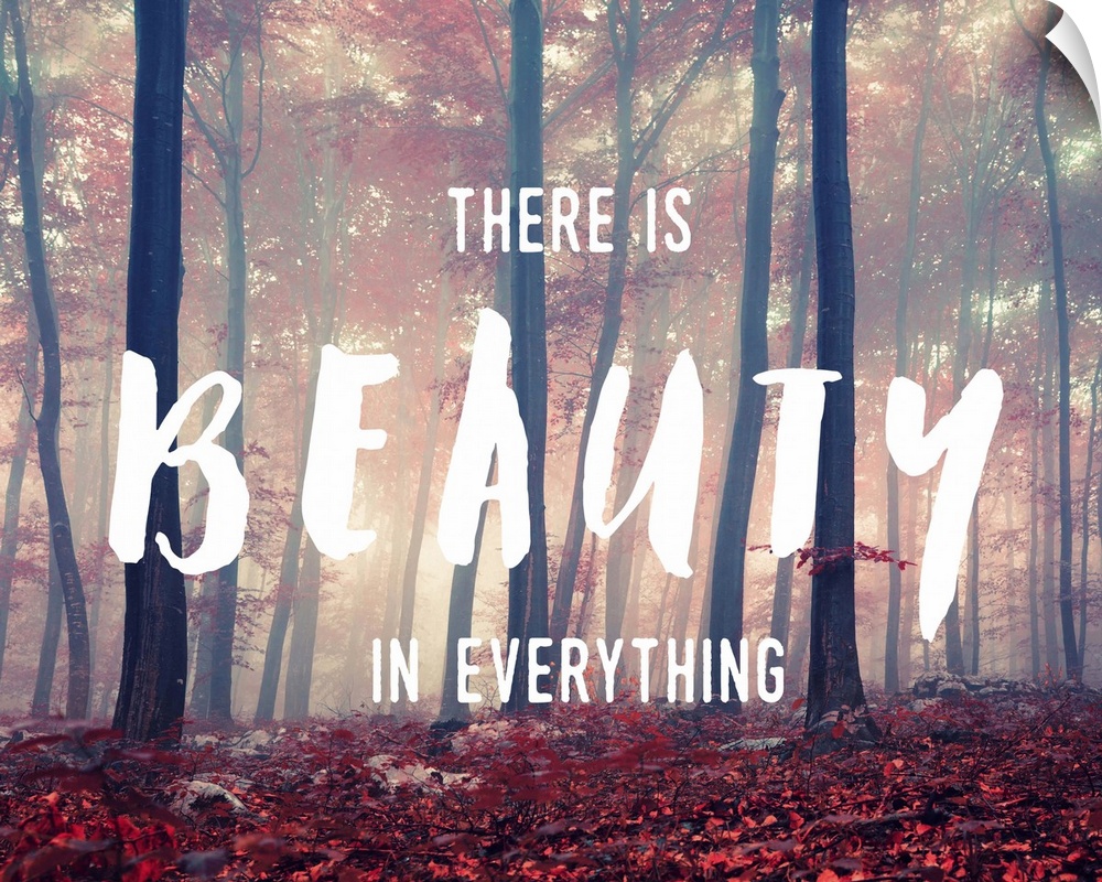 "There is Beauty in Everything" handwritten over an image of a foggy forest glowing with sunlight.