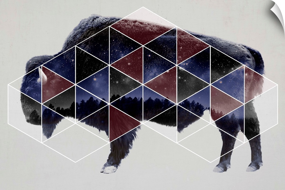 Double exposure artwork of a bison in profile with a triangular pattern and the night sky.