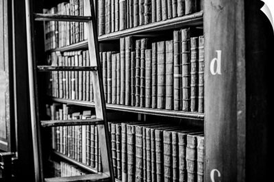 Book Shelves and Ladder, Trinity College Library, Dublin, Ireland, UK