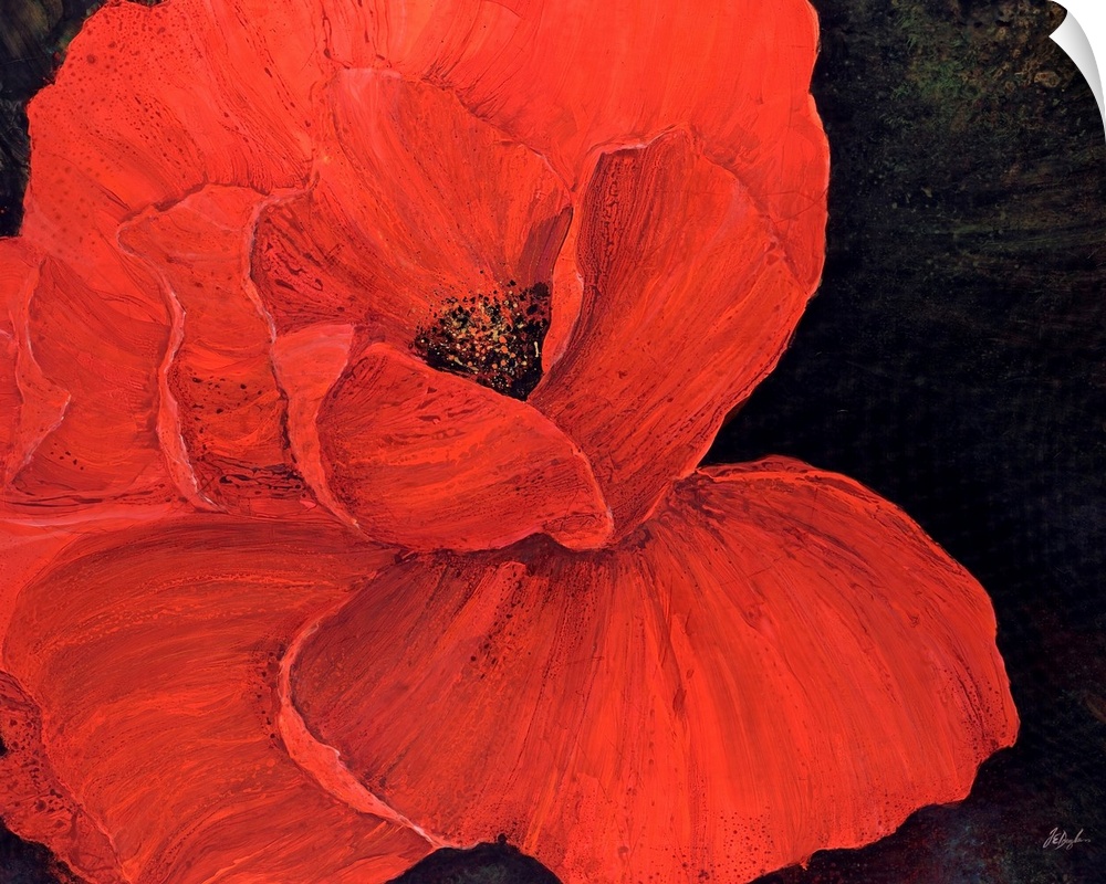 A decorative accent for the home or office this painting is a poppy with its petals spread wide on a dark backdrop.