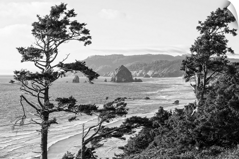 Black and white landscape photograph of Cannon Beach through the trees with Haystack Rock in the distance, Oregon Coast