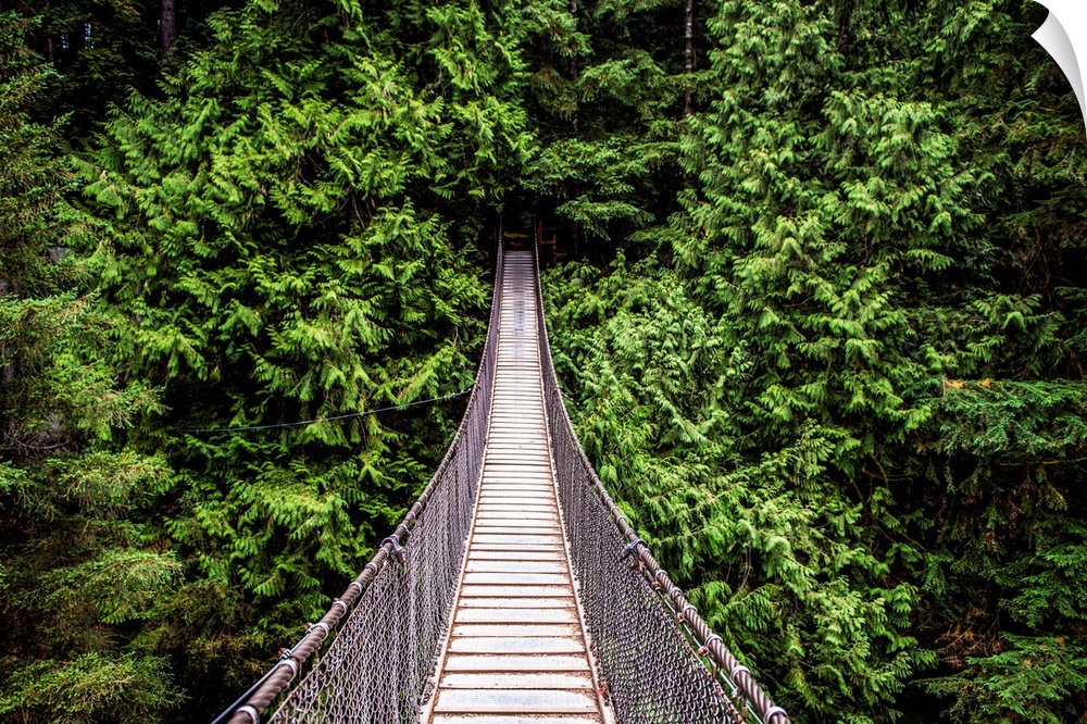 View of Capilano Suspension Bridge in  North Vancouver, British Columbia, Canada.