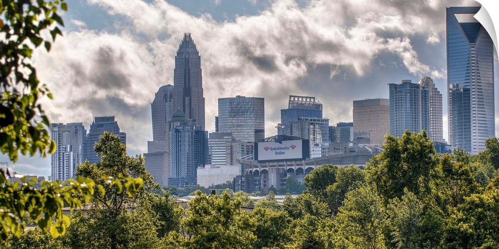 A forest of trees in the foreground of the Charlotte North Carolina city skyline.