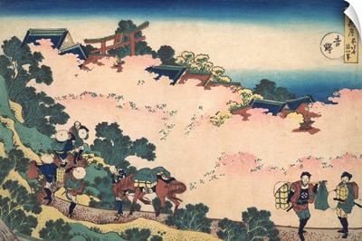 Cherry Blossoms at Yoshino, from the series Snow, Moon, and Flowers