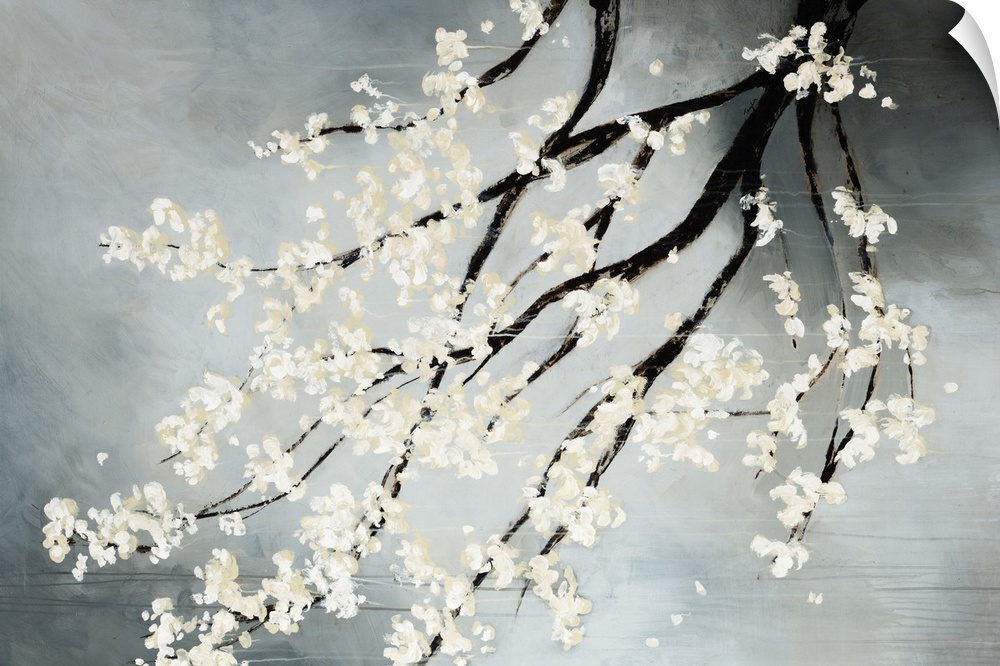 Contemporary drawing of blooming white flowers on the dark branches of a cherry tree hanging down from the top.