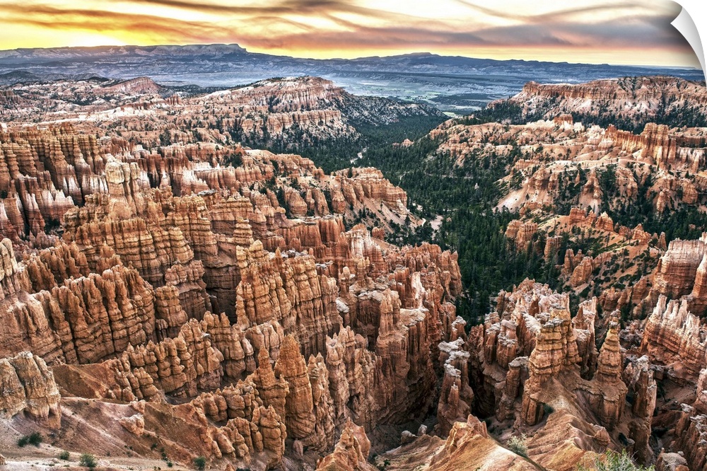 Striped orange and white hoodoos and green pine trees under fiery sunset clouds in Bryce Canyon Amphitheater, Bryce Canyon...