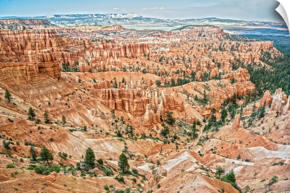 Striped orange and white hoodoos and green pine trees in Bryce Canyon Amphitheater, Bryce Canyon National Park, Utah.
