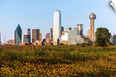 Dallas Skyline With Wildflowers, Texas
