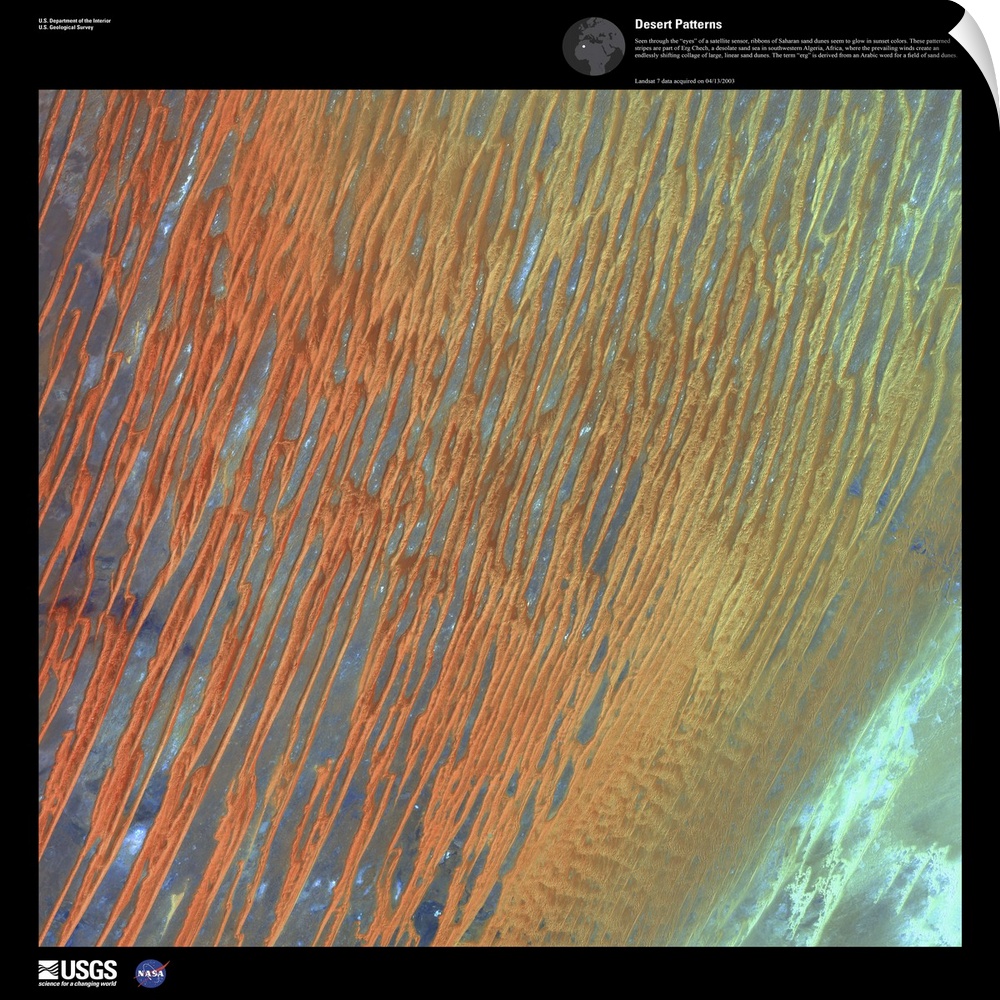 Seen through the eyes of a satellite sensor, ribbons of Saharan sand dunes seem to glow in sunset colors. These patterned ...