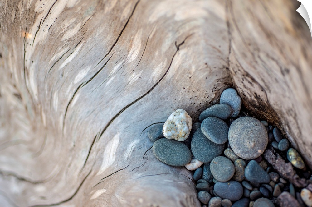 Photograph of smooth rocks piled on top of a piece of driftwood on the pacific northwest coast.
