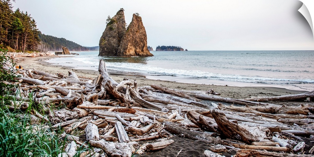 A pile of driftwood clusters at Rialto Beach near Olympic National Park, Washington.