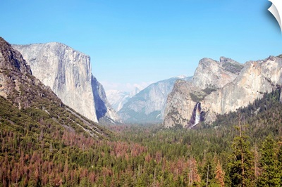 El Capitan And Yosemite Valley, Yosemite National Park, California