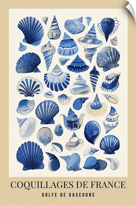 Exhibition Poster - French Sea Shells Light