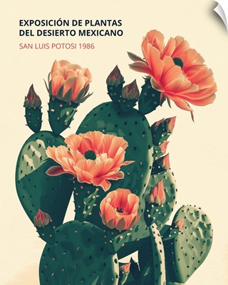 Exhibition Poster - Mexican Desert Plants