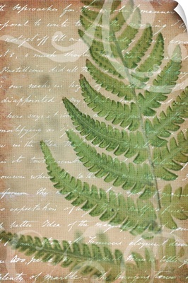 Fern in the Countryside