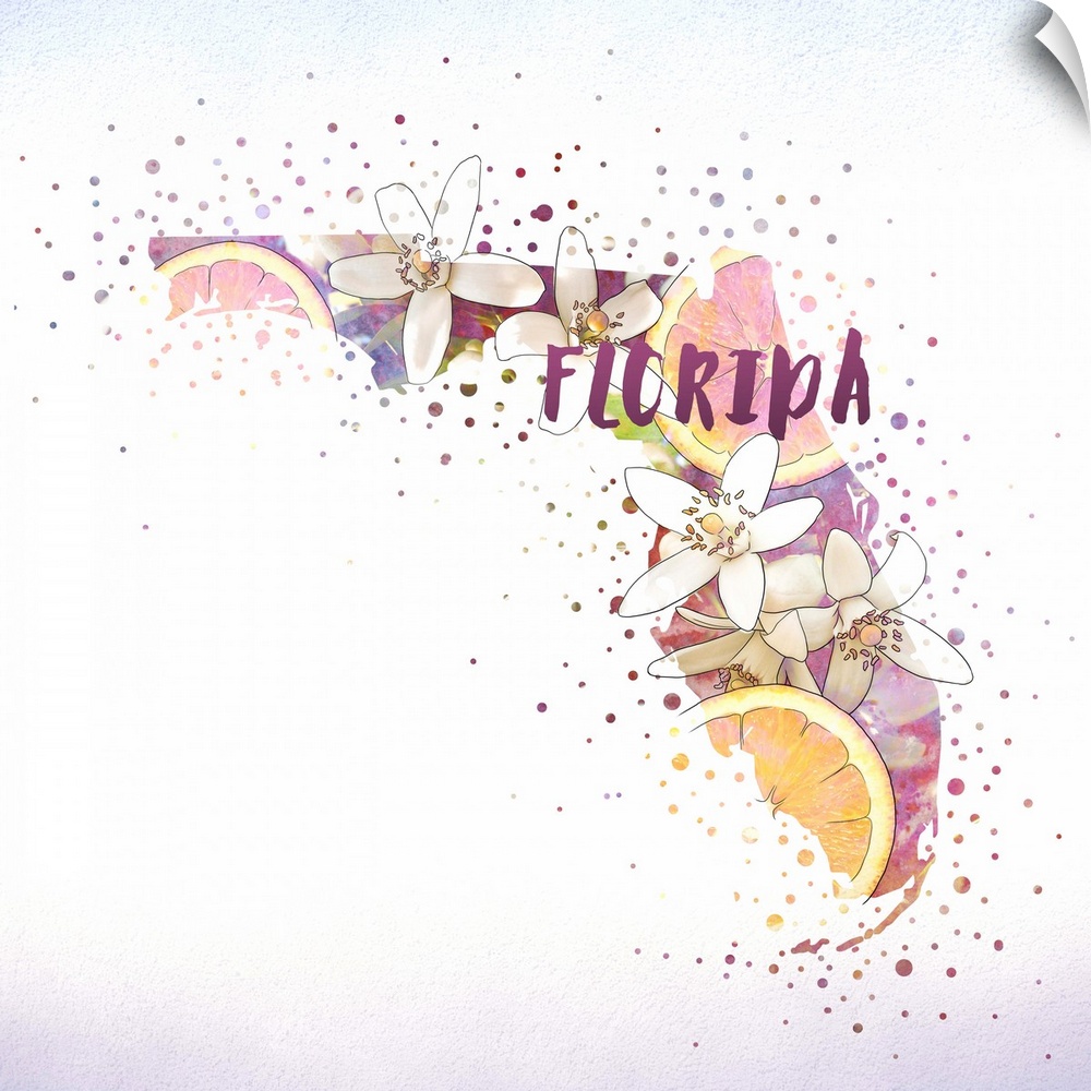 Outline of the state of Florida filled with its state flower, the Orange Blossom.
